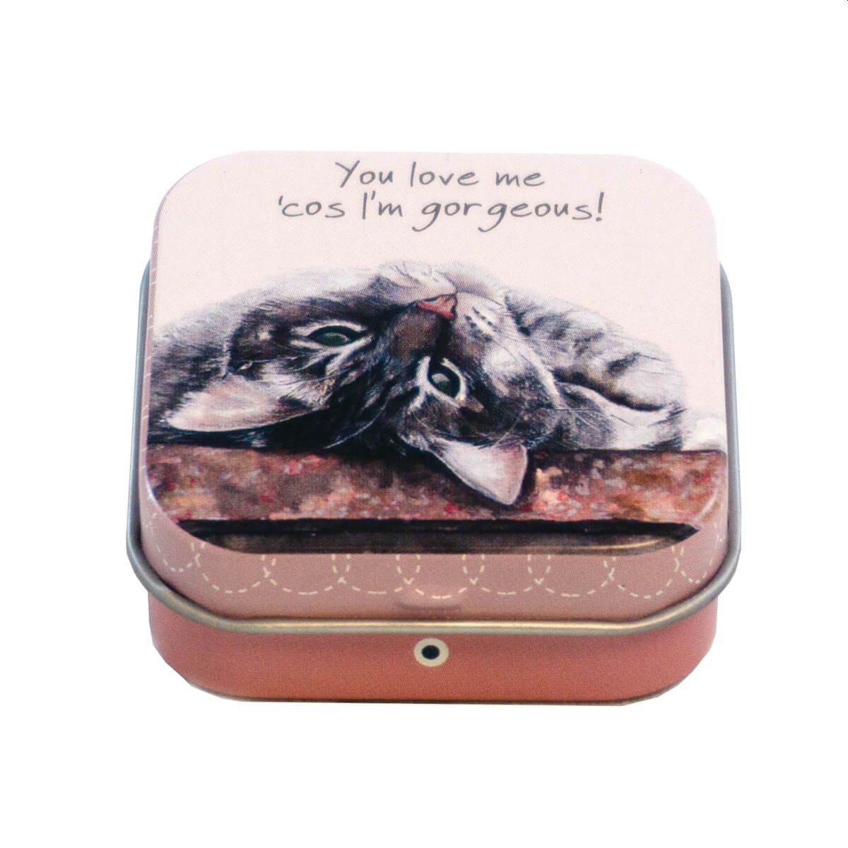 You're Gorgeous Mini Tin