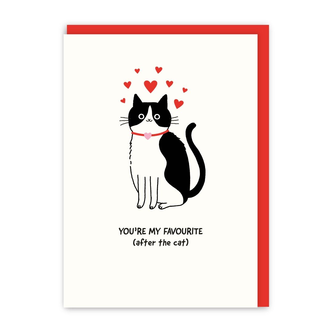 You are my Favourite Valentines Card