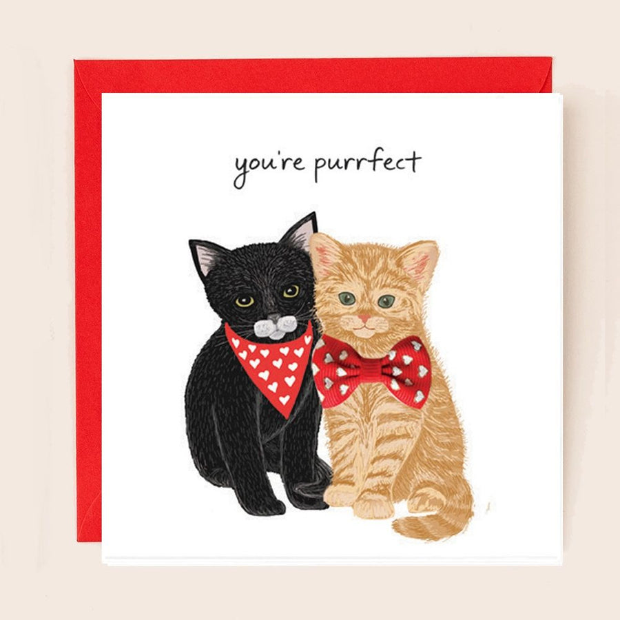 You're Purrfect Valentines Ribbon Card