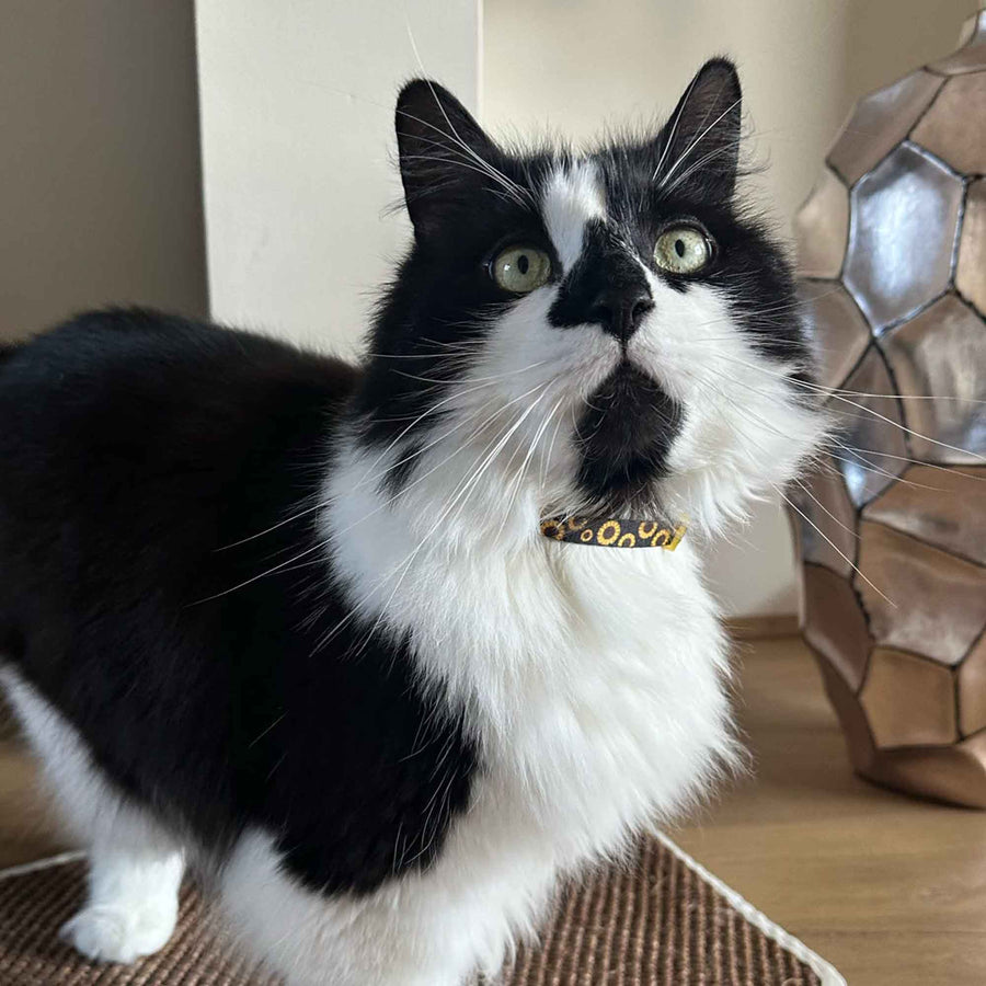 Sunflower Design Safety Cat Collar