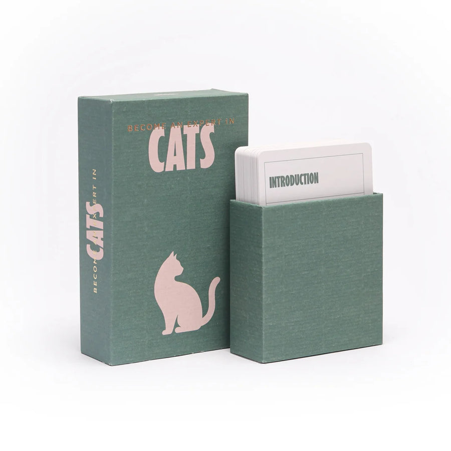 Box and contents of Become an expert in cats by Pikkii