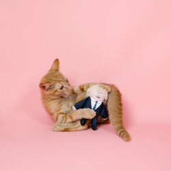 An orange tabby cat lies on a solid pink background, playfully wrestling with a catnip toy dressed in a navy blue suit and white shirt resembling Boris Johnson