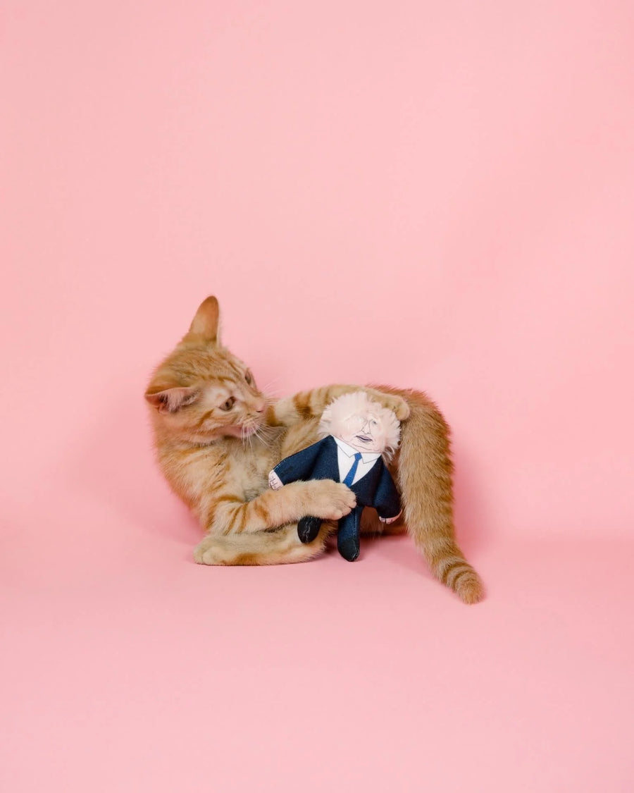 An orange tabby cat lies on a solid pink background, playfully wrestling with a catnip toy dressed in a navy blue suit and white shirt resembling Boris Johnson