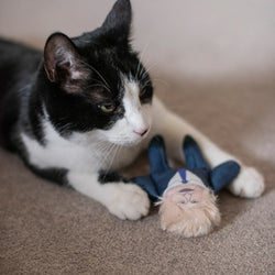 Tuxedo cat playing on a carpet with a boris johnson look-a-like catnip toy