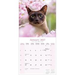 A vertical wall calendar page showing January 2027, with a large photo of a burmese cat surrounded by pink blossoms at the top and a pale pink calendar grid below.