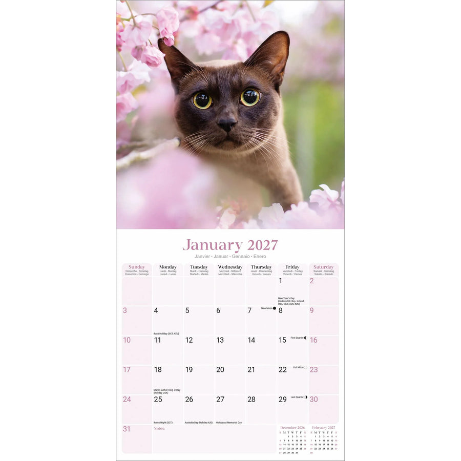 A vertical wall calendar page showing January 2027, with a large photo of a burmese cat surrounded by pink blossoms at the top and a pale pink calendar grid below.