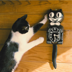 Tuxedo cat pawing a kit cat clock lying on a wooden floor