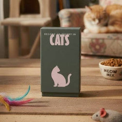 Become an Expert in Cats