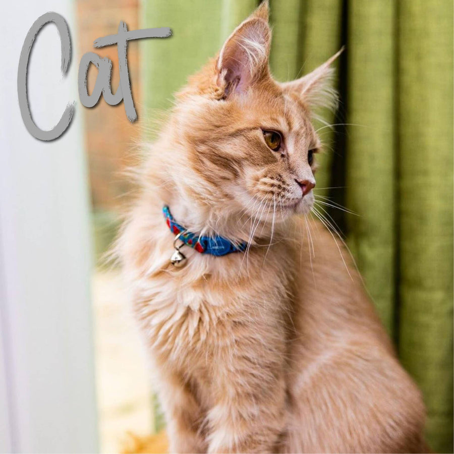 Watermelon Design Safety Cat Collar