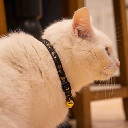 Moon & Stars Safety Cat Collar