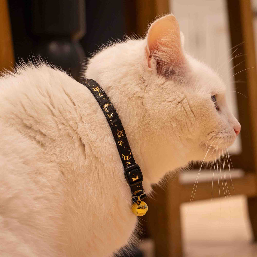 Moon & Stars Safety Cat Collar