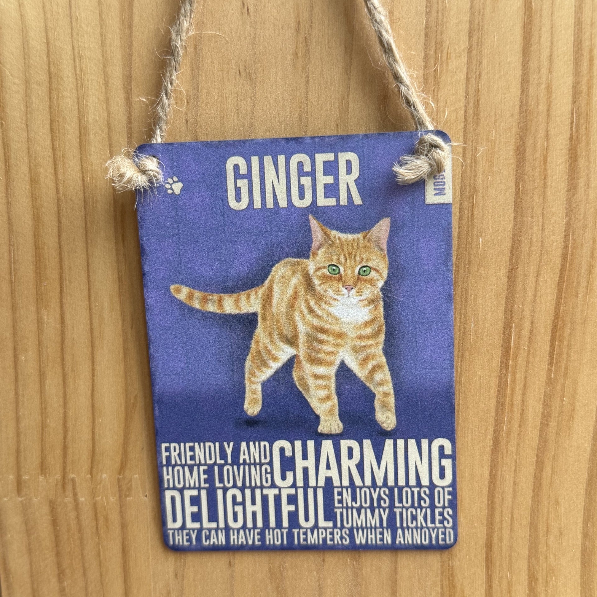 Ginger Cat Metal Dangler