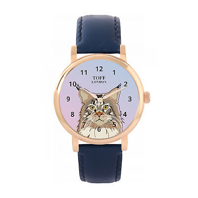 Maine Coon Cat Watch