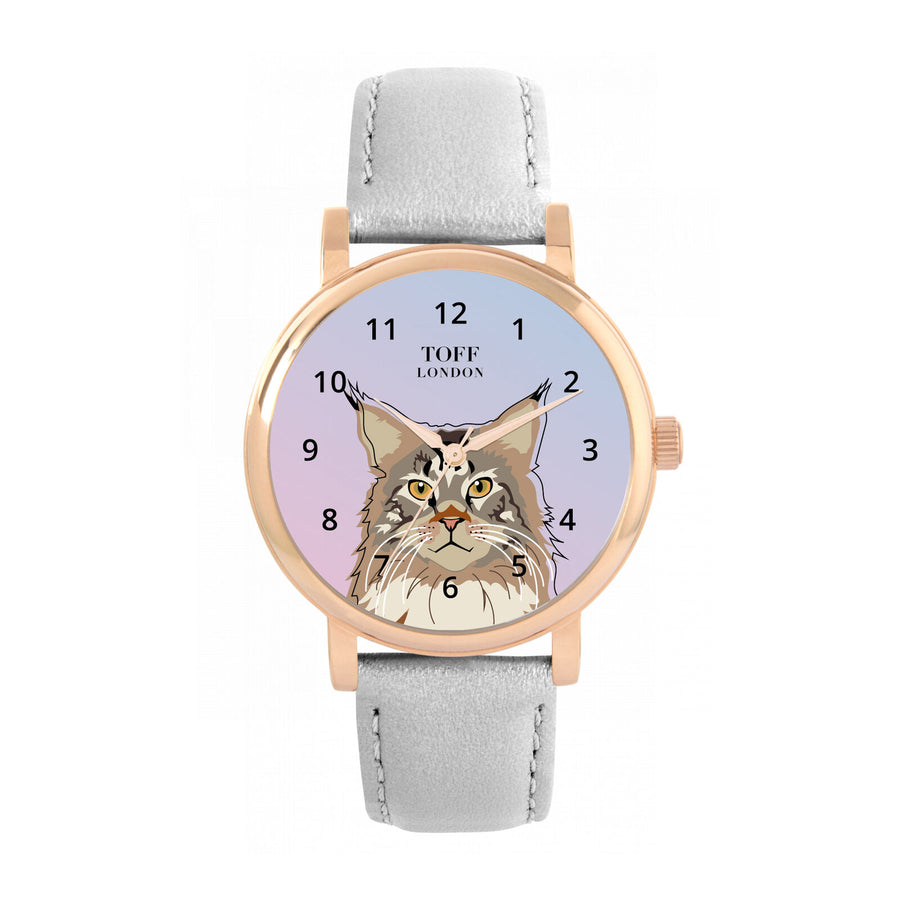 Maine Coon Cat Watch