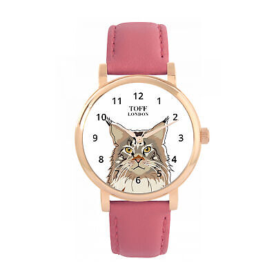 Maine Coon Cat Watch