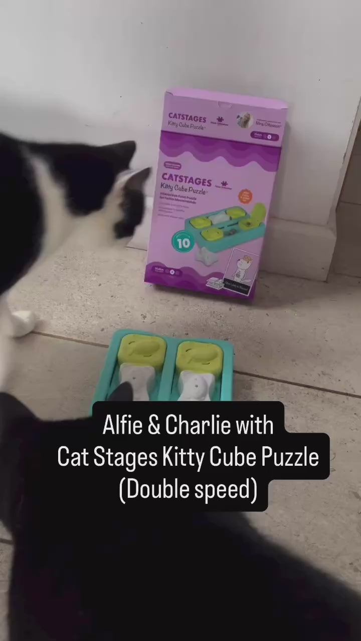 Kitty Cube Cat Puzzle Toy