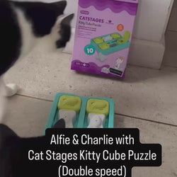 Kitty Cube Cat Puzzle Toy