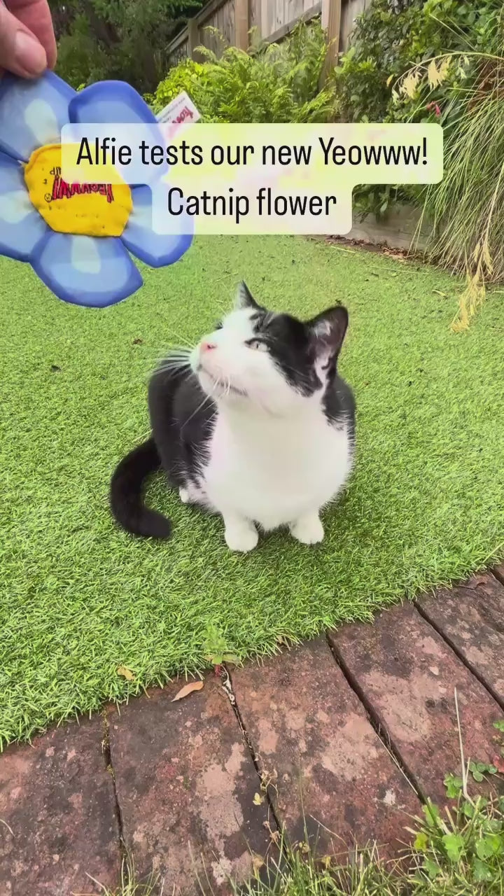 Yeowww Catnip Flower