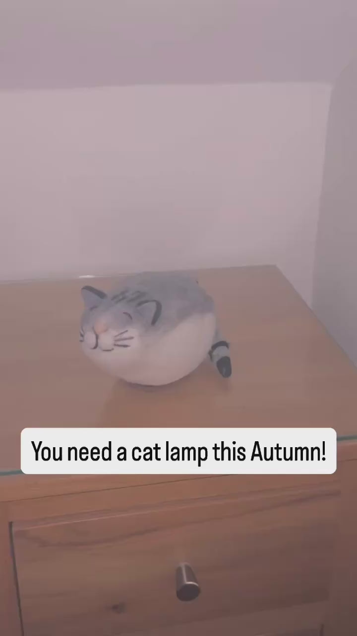 Grey Tabby Cat Felt Lamp