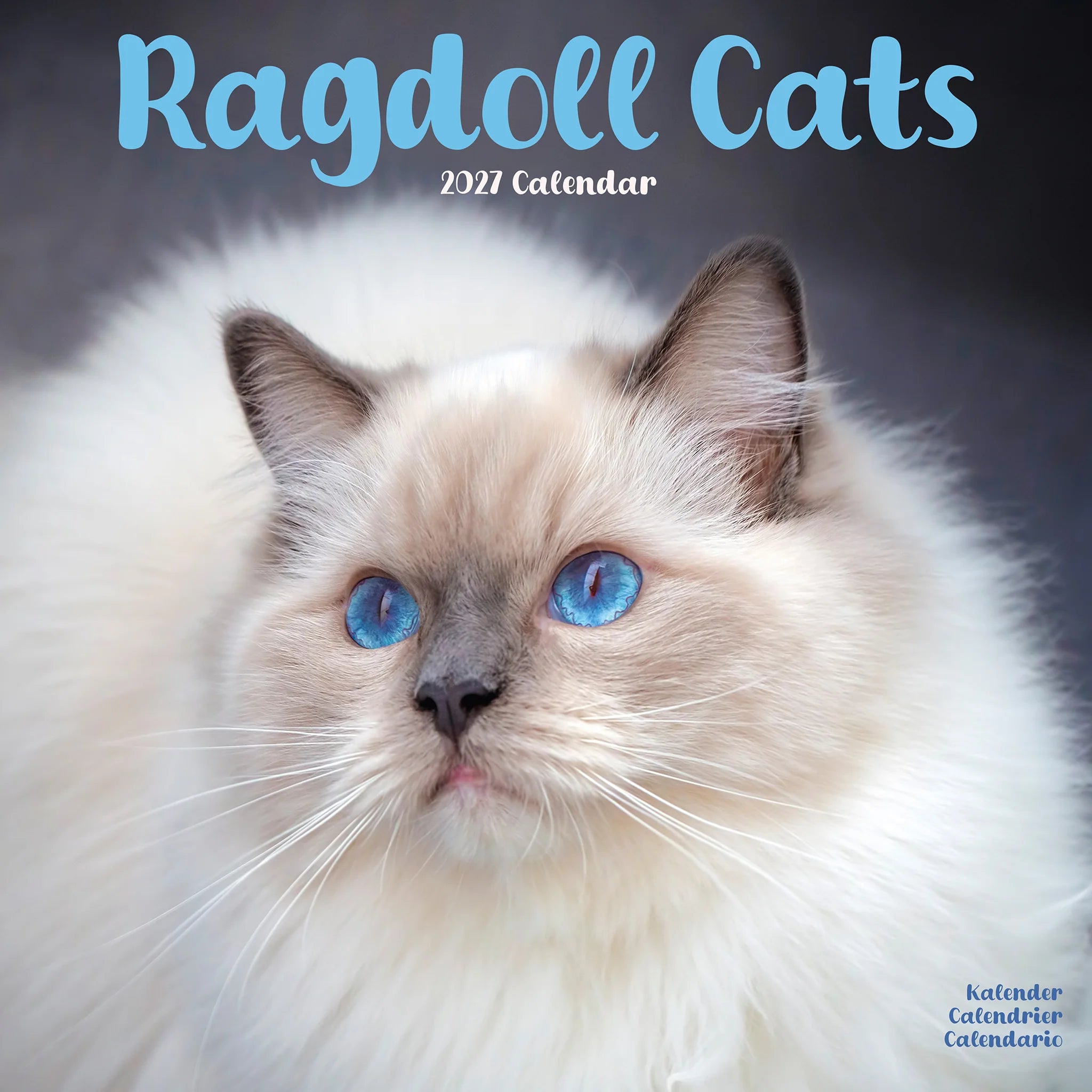 Ragdoll Cats 2027 Wall Calendar