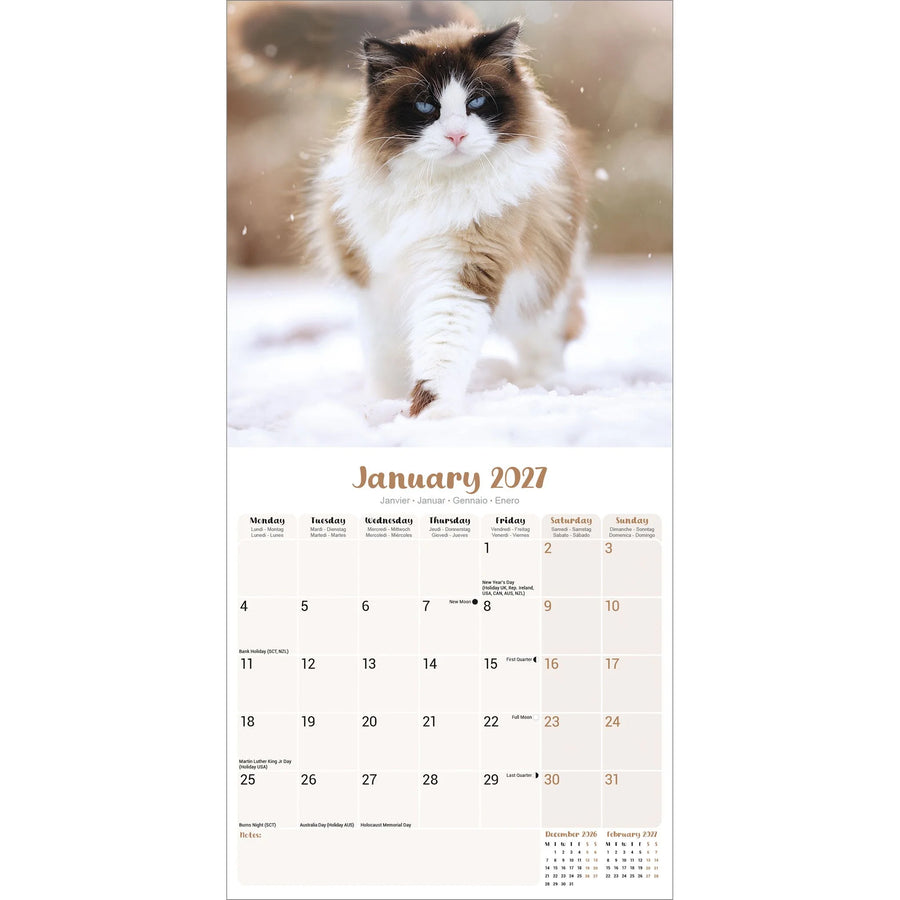 A January 2027 desk calendar page featuring a fluffy brown-and-white cat walking in snow on the top half, with a beige calendar grid below.