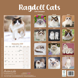 Ragdoll Cats 2021 wall calendar cover by Avonside Publishing Ltd, featuring a large January 2027 page with a Ragdoll cat photo and a grid of monthly cat photos on a tan background.