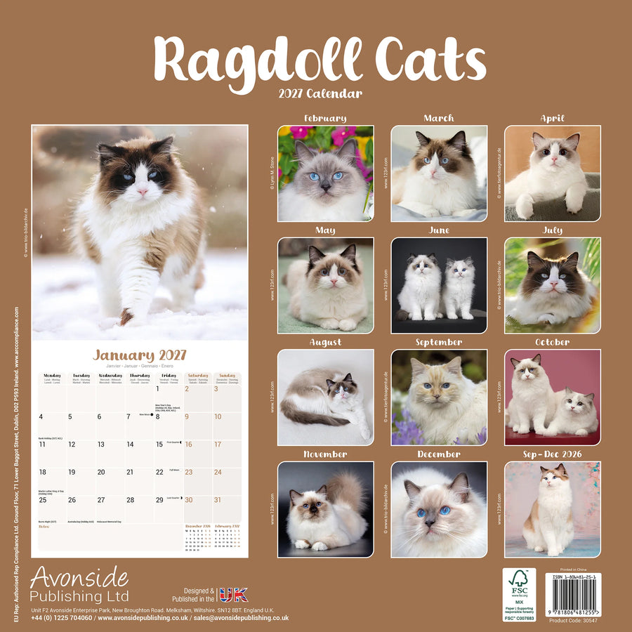 Ragdoll Cats 2021 wall calendar cover by Avonside Publishing Ltd, featuring a large January 2027 page with a Ragdoll cat photo and a grid of monthly cat photos on a tan background.