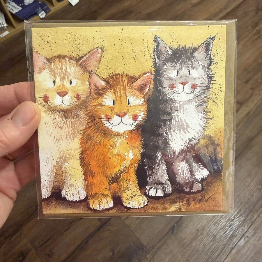 Alex Clark illustration showing a beige cat a ginger cat and a grey and white cat in a row