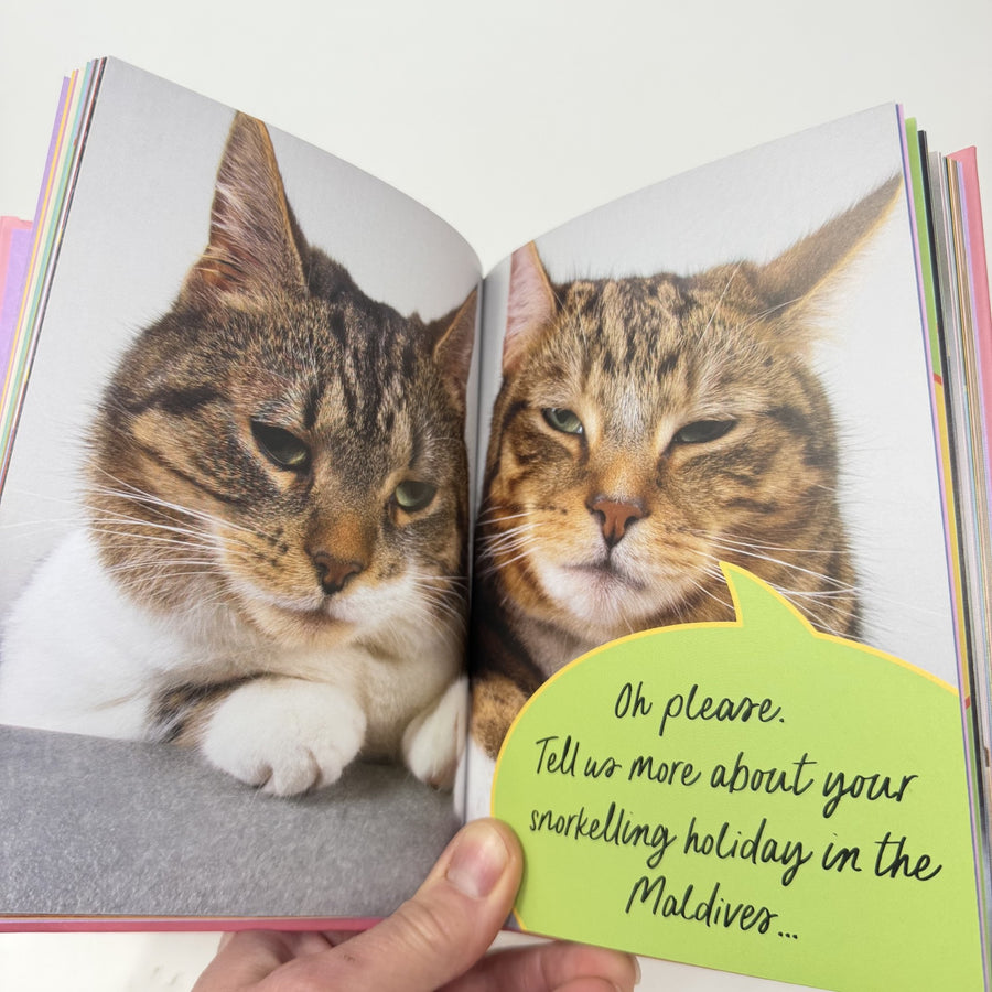 Spread from Sweary Cats showing a pair of bored cats and a funny cartoon speech bubble