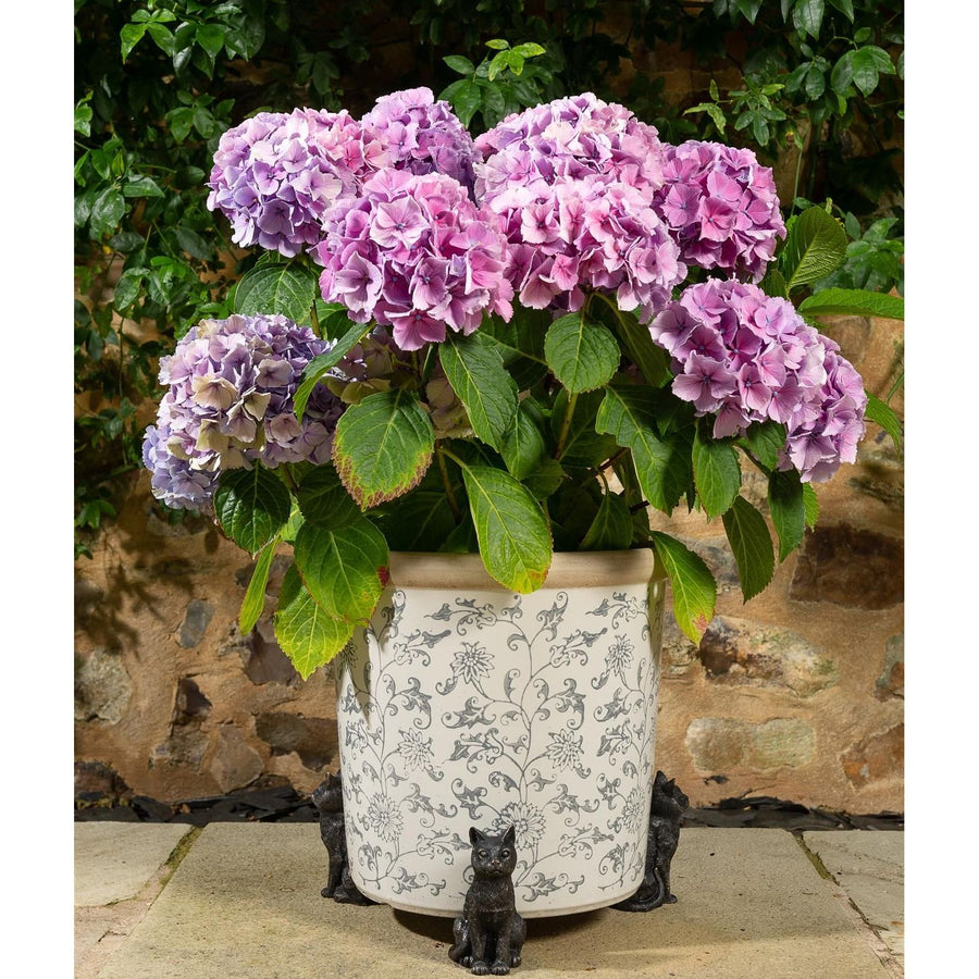 Sitting Cat Pot Feet