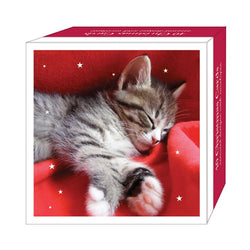 Cosy Kittens Bumper Christmas Card Box (7.5p per card!)