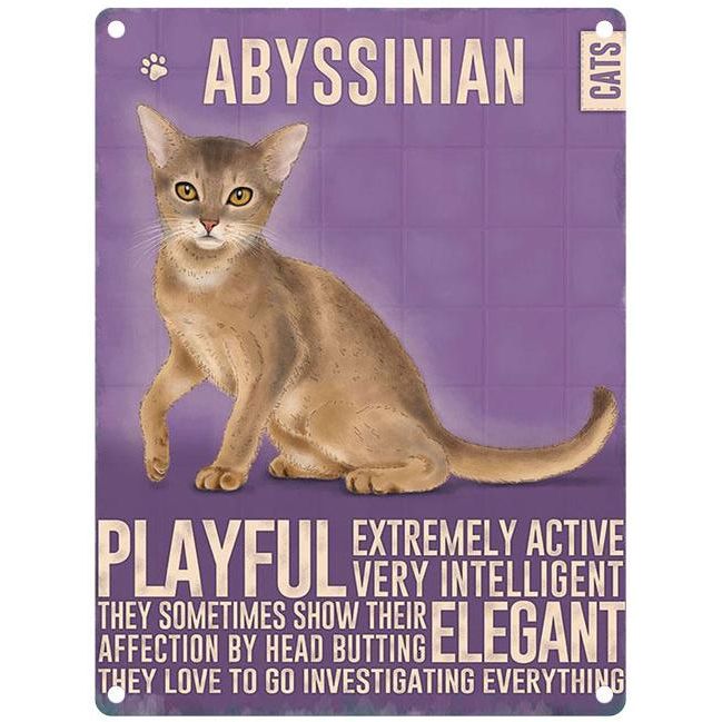 Abyssinian Cat Metal Dangler