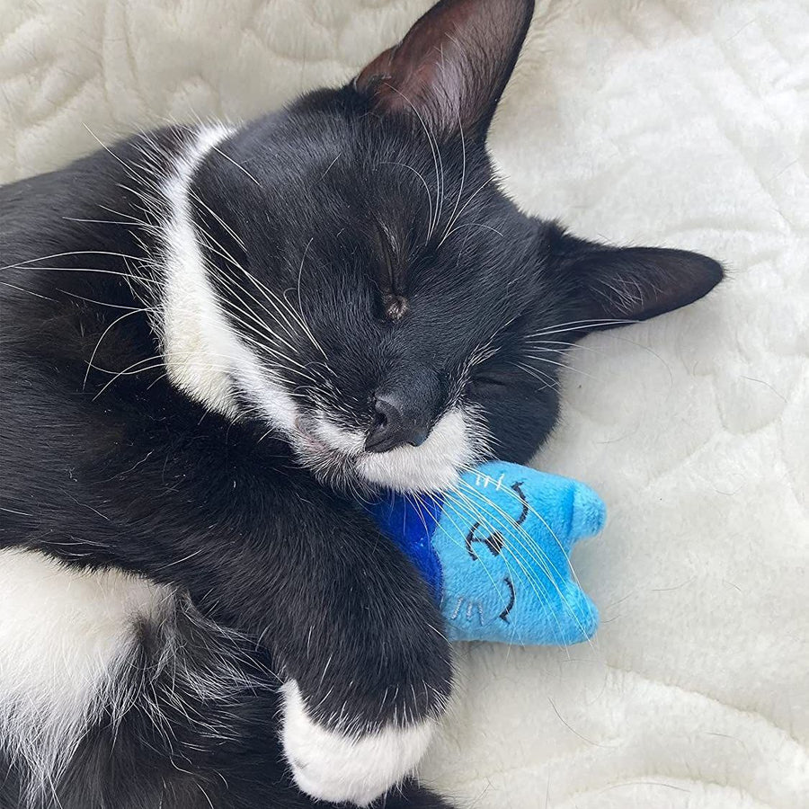 Battersea Catnip Cats, pack of 3