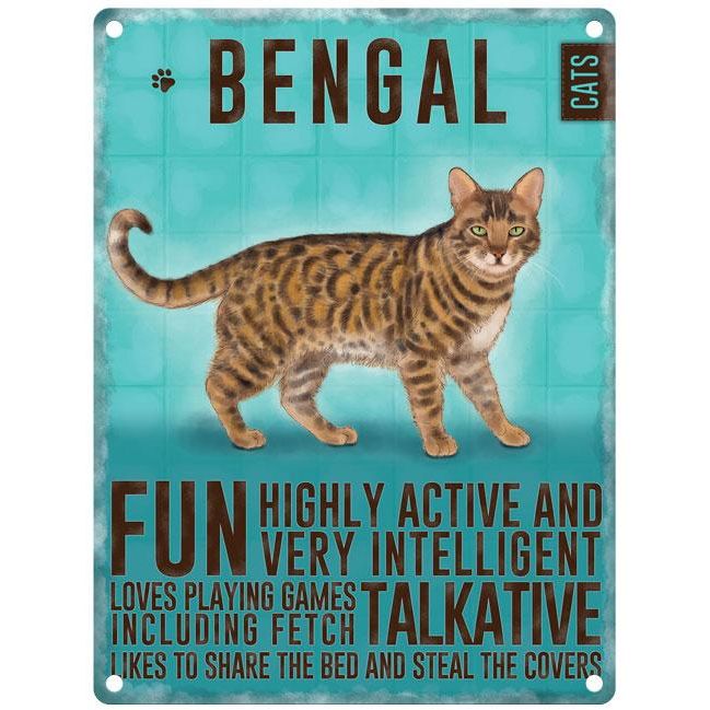 Bengal Cat Metal Dangler