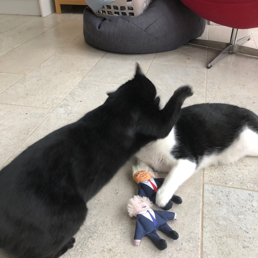 鲍里斯猫薄荷猫玩具