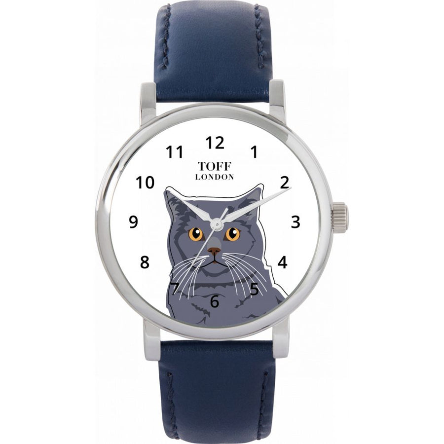 British Shorthair Cat Watch