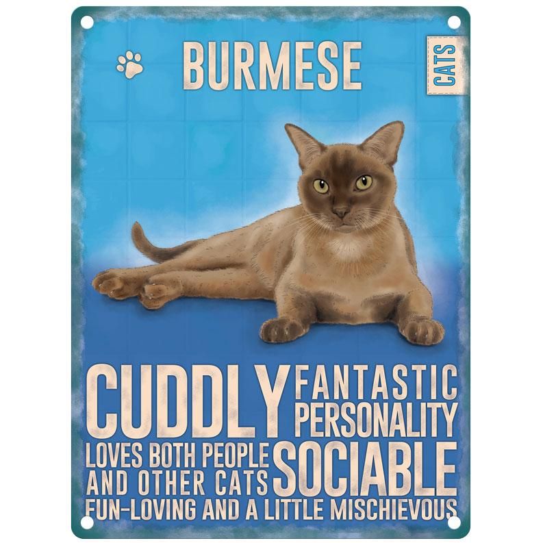 Burmese cat Fridge Magnet
