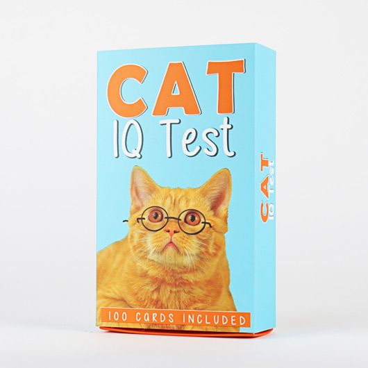 猫智商测试
