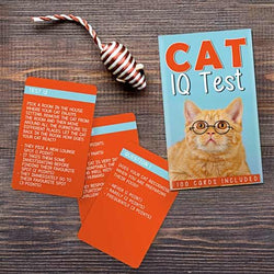 猫智商测试