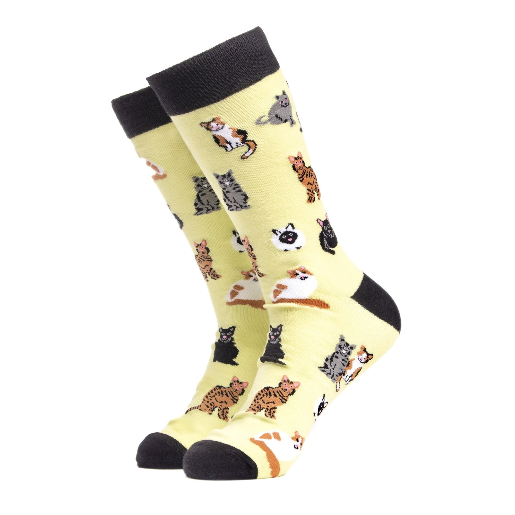 Cat Lover Socks Yellow