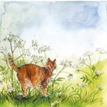 Cat & Cow Parsley Birthday Card by Alex Clark