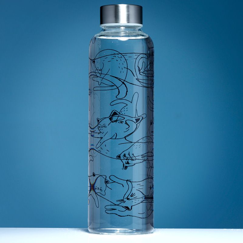 A Cats Life Reusable Water Bottle with Sleeve