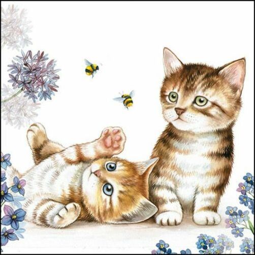 Cats and Bees Napkins