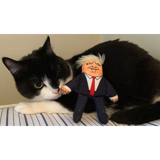 唐纳德猫薄荷猫玩具