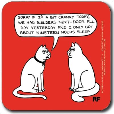 Im a Bit Cranky Coaster