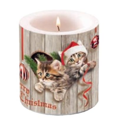 Curious Kittens 柱状蜡烛
