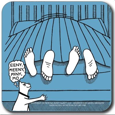 Eeny, Meeny, Miny, Mo Coaster