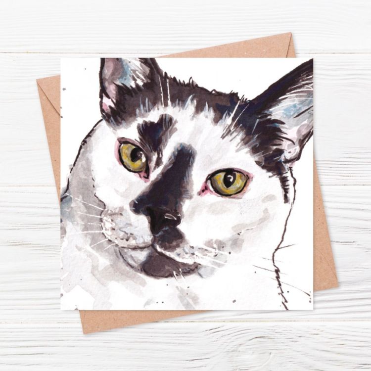 Fin the Cat Art Card