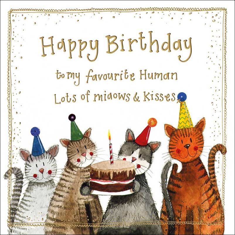 Feliz cumpleaños de la tarjeta del gato, por Alex Clark