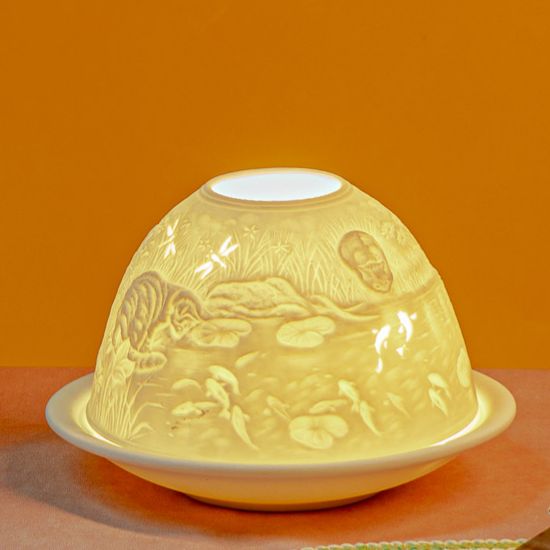 池塘发光圆顶旁的猫